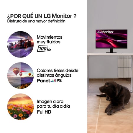 Monitor IPS 27 Pulgadas - 27MR400